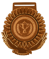 2027-2862 МЕДАЛЬ ПРЕЗИДЕНТ (99х86 мм) (2027-2862с бронза)