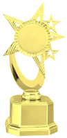 25-2007 НАГРАДА ЗВЕЗДА СТОЛИЦЫ