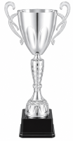 26-0408 кубок