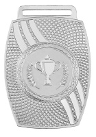 Медаль 2009-1652 (45*65 мм) ИРТЫШ (2009-1652b серебро)