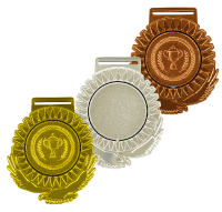 медаль президент 3 штуки