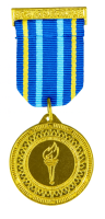 25-0612 медаль на колодке