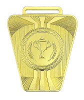 Медаль 2010-1652 (55*65 мм) ТЕНГРИ (2010-1652a золото)