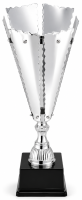 25-2207 кубок