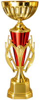 26-2909 КУБОК ДАМИР