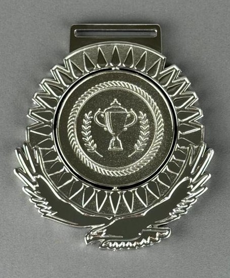 медаль президент серебро фото
