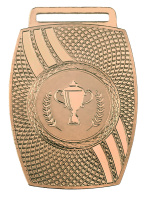 Медаль 2009-1652 (45*65 мм) ИРТЫШ (2009-1652c бронза)
