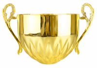 8694 чаша биг ромби