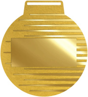 медаль 2023 2802