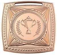 Медаль 2004-1502 (50 мм) ПЕКИН без ленты (2004-1502c бронза)