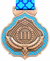 6282 МЕДАЛЬ ТУРКЕСТАН (75 мм) с лентой (6282c бронза)