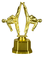 25-0212 карате