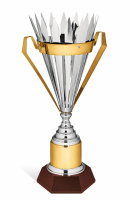 93001extra КУБОК БАРИ (93001extra диаметр верха 30 см)