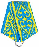 колодка для медали