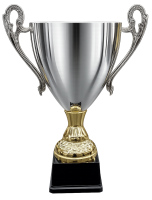 кубок медео