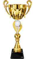 26-1510 кубок аян