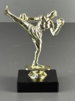 25-0089 кикбоксер