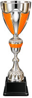 26-4009 КУБОК ОСЕНЬ