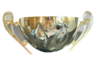 чаша тюльпан