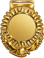 2027-2862 МЕДАЛЬ ПРЕЗИДЕНТ (99х86 мм) (2027-2862a алтын/золото)