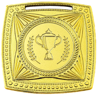 Медаль 2004-1502 (50 мм) ПЕКИН (2004-1502a золото)