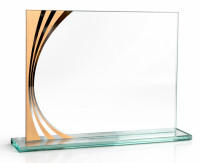 26-1702 награда из стекла