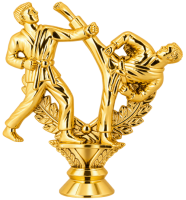Фигура карате 456