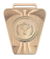 Медаль 2010-1652 (55*65 мм) ТЕНГРИ (2010-1652с бронза)