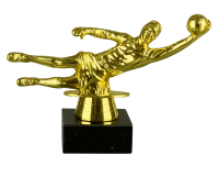 25-0088 вратарь