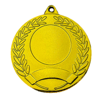 Медаль 2008-1501 (50 мм) ВОЛГА без ленты (2008-1501a алтын/золото)
