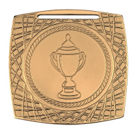 Медаль МК363 (70 мм) (Медаль МК363c бронза)