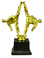 25-0710 карате