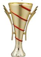 стем 11 306 бол