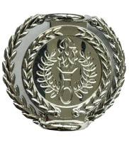 стем с ободком