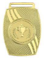 Медаль 2009-1652 (45*65 мм) ИРТЫШ (2009-1652a золото)