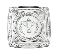 Медаль 2013-1702 (70 мм) САН (2013-1702b серебро)