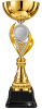 26-0909 кубок