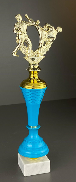 карате бирюза 2