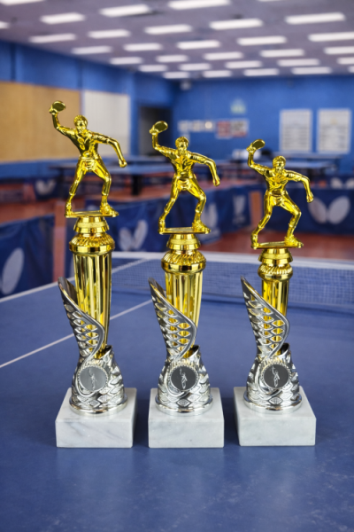 26-0102 теннис