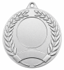 волга серебро