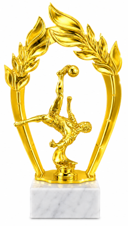 25-2607 футбол