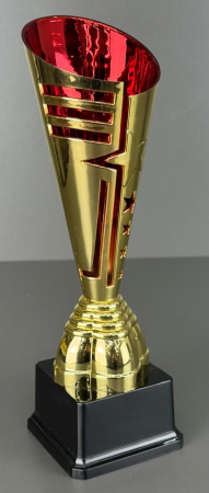 лето звезда фото