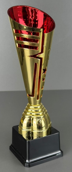 лето звезда фото