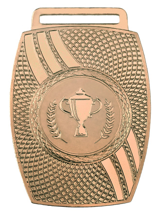 2009 бронза