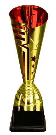 лето звезда