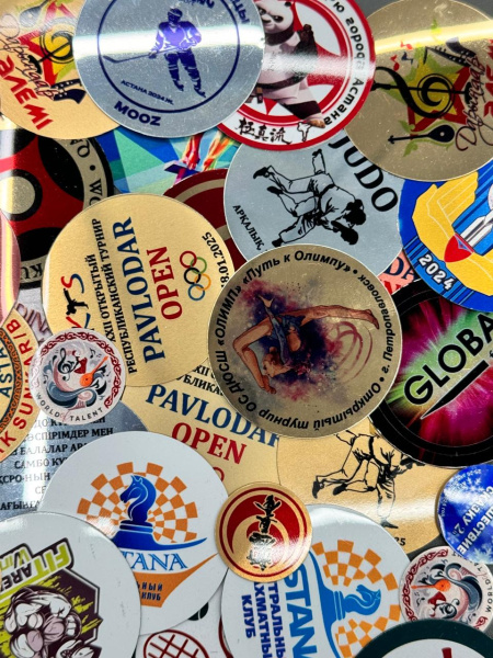 вкладыш фото