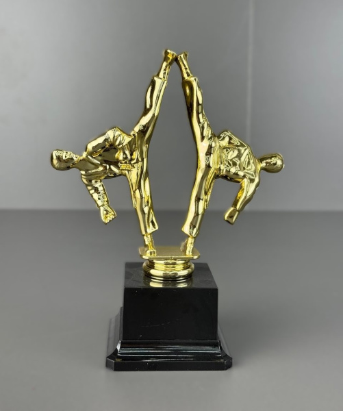 25-0710 карате 2