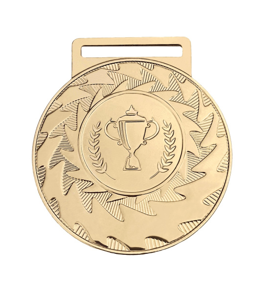 Медаль 2012-1502VIP (50 мм) РИВЕР бронза