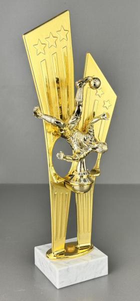 25-0031 награда ворота