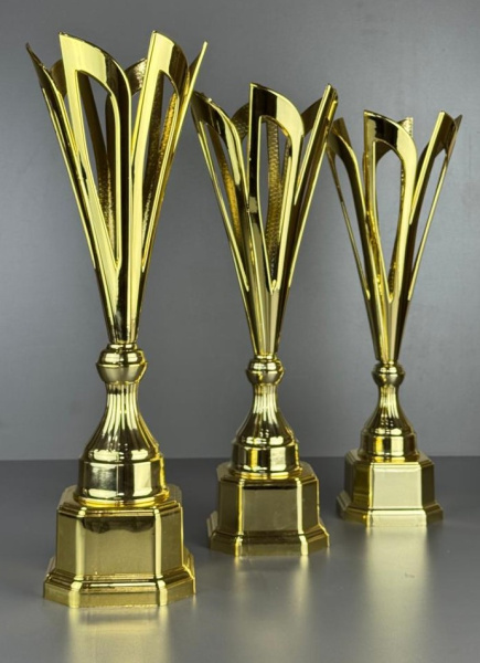 25-1911 кубко инжу фото